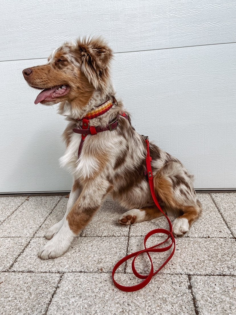 The four Elements Collection