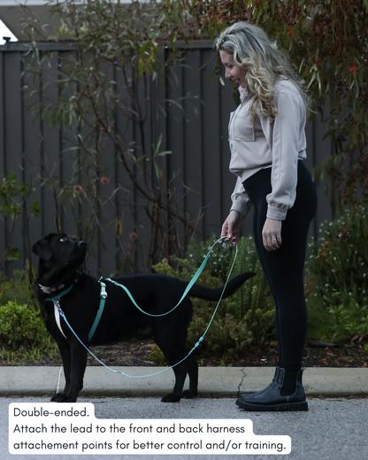 Hands Free Dog Lead - Design Your Own ⭐ Best Seller