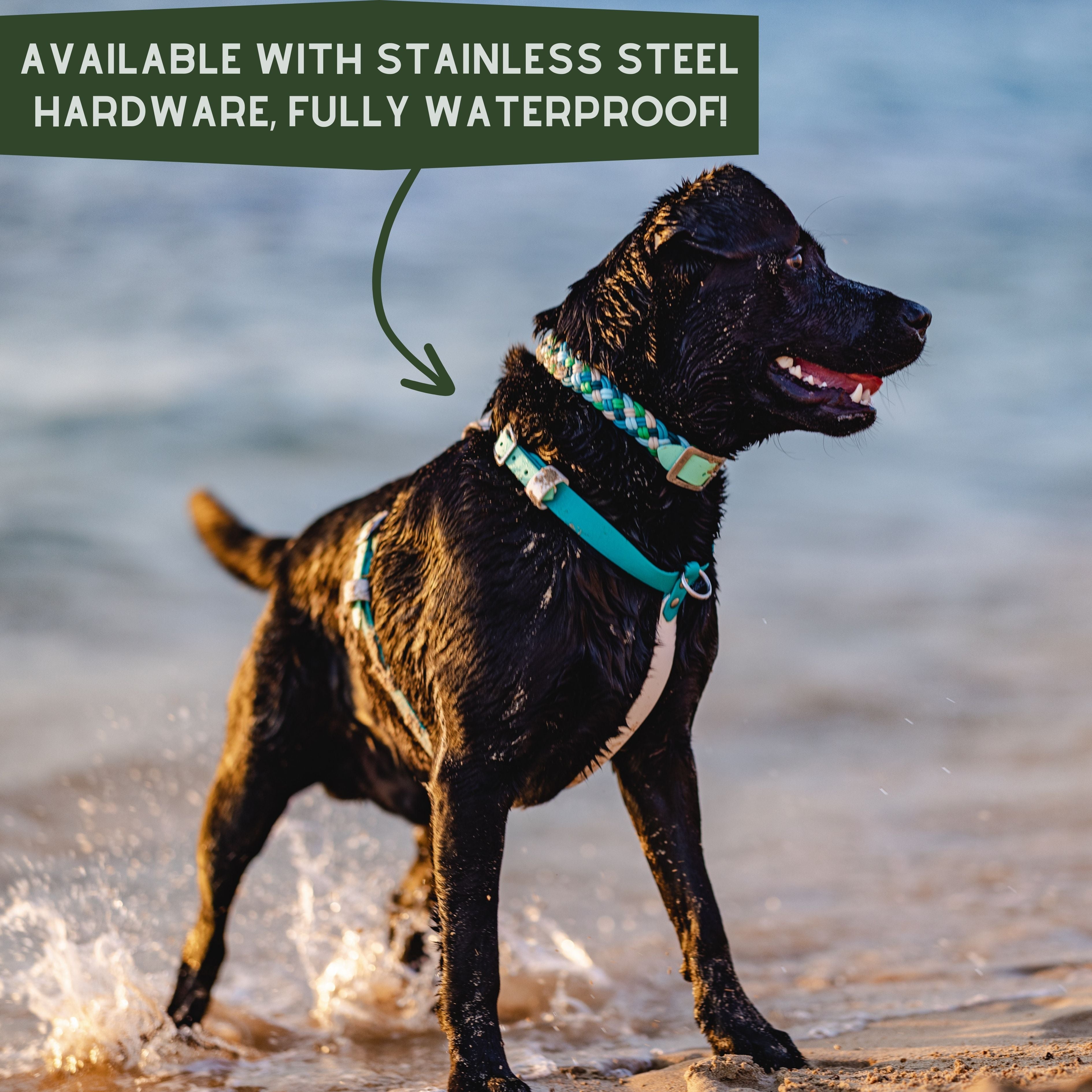 Custom BioThane Dog Harness &