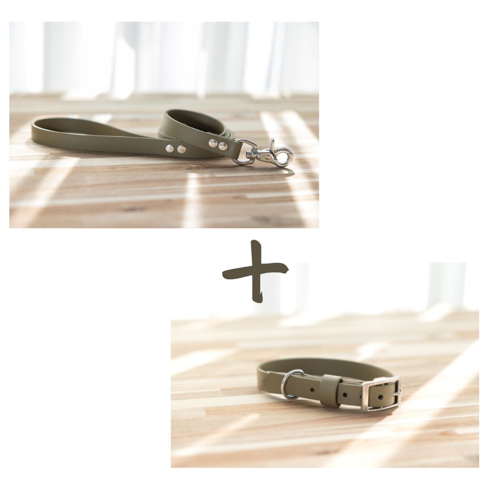 NEW in - Collar and Lead Bundle