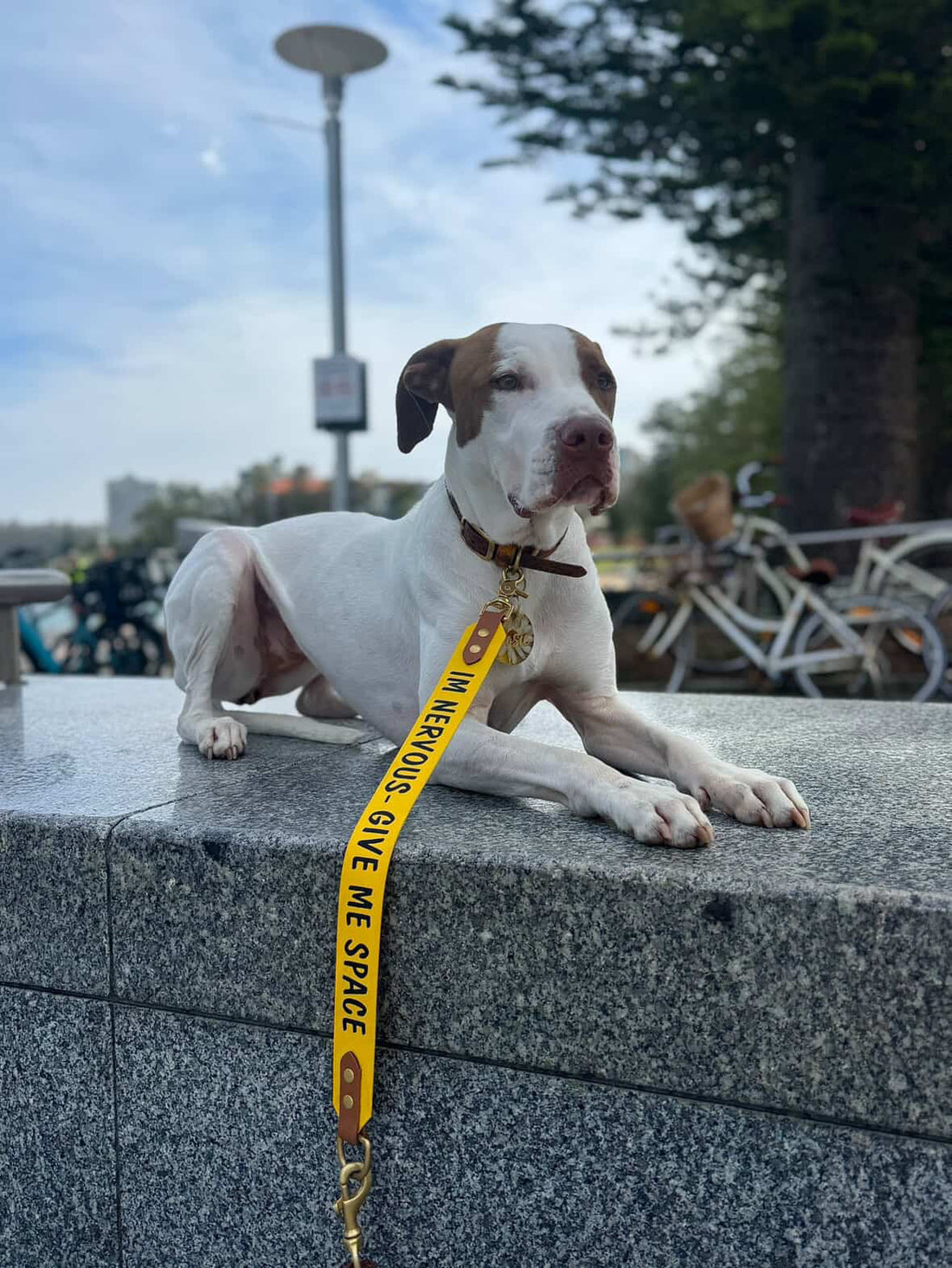 Custom print Lead extender