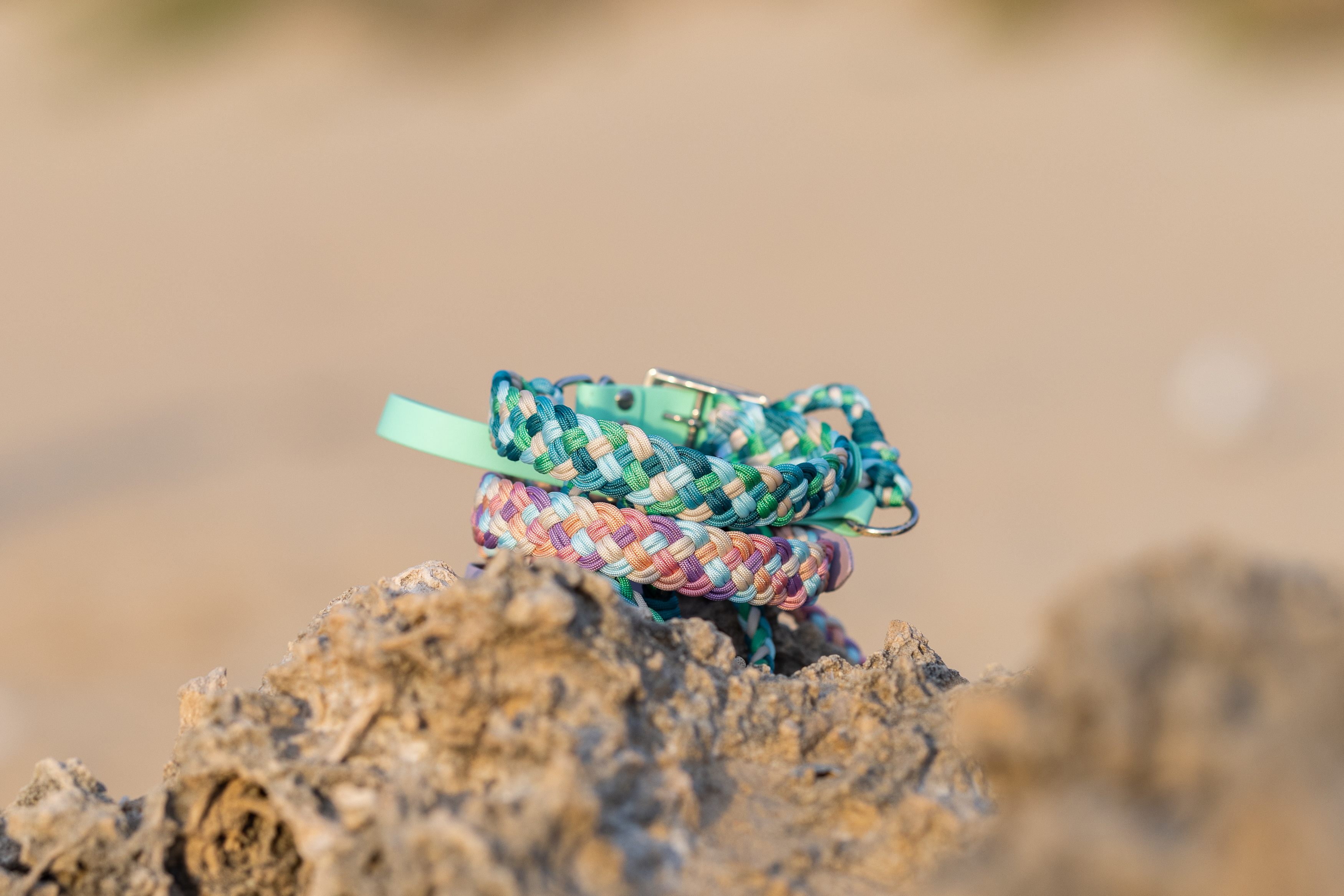 Small Breeds and Puppies