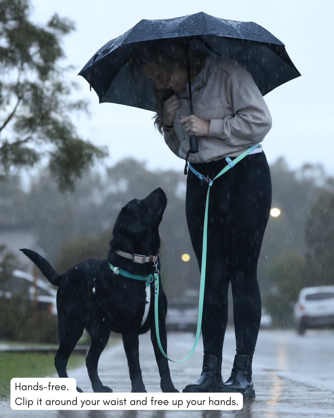 Person walking a dog on a leash with an umbrella in the rain