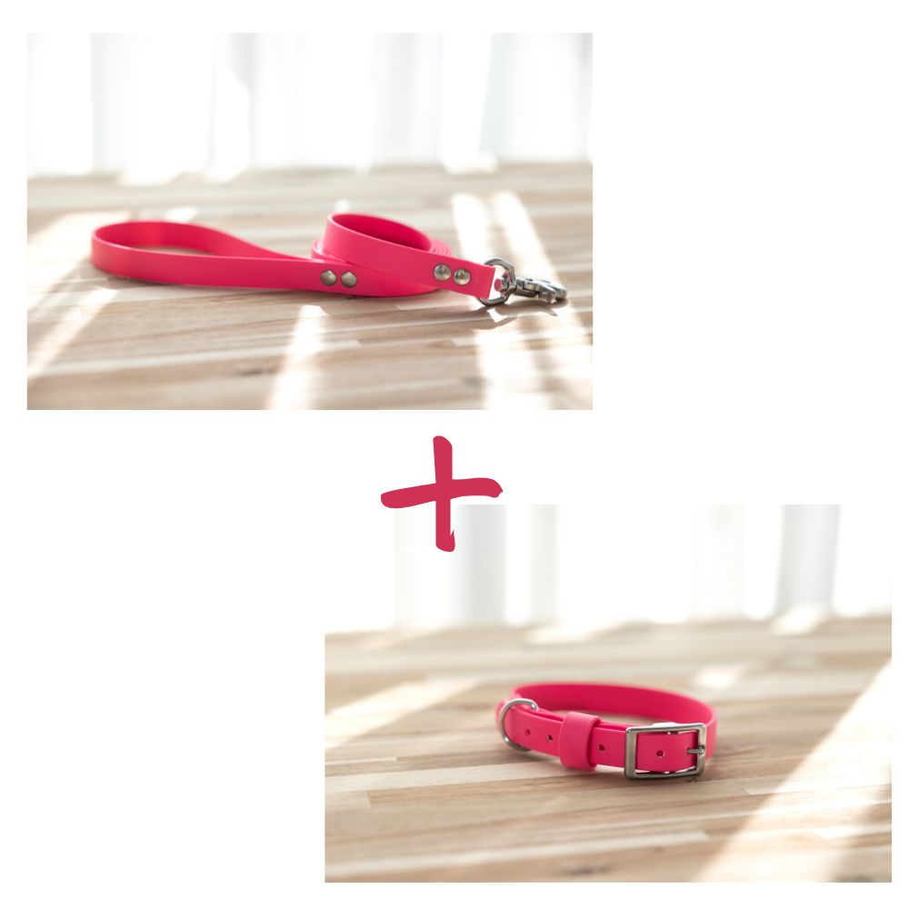 NEW in - Collar and Lead Bundle