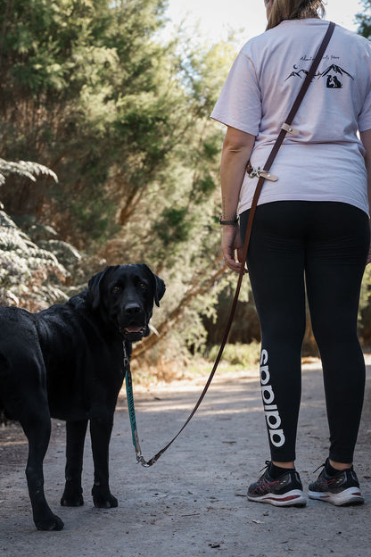 Human standing next to black labrador wearing a cross body Biothane lead attched to dog