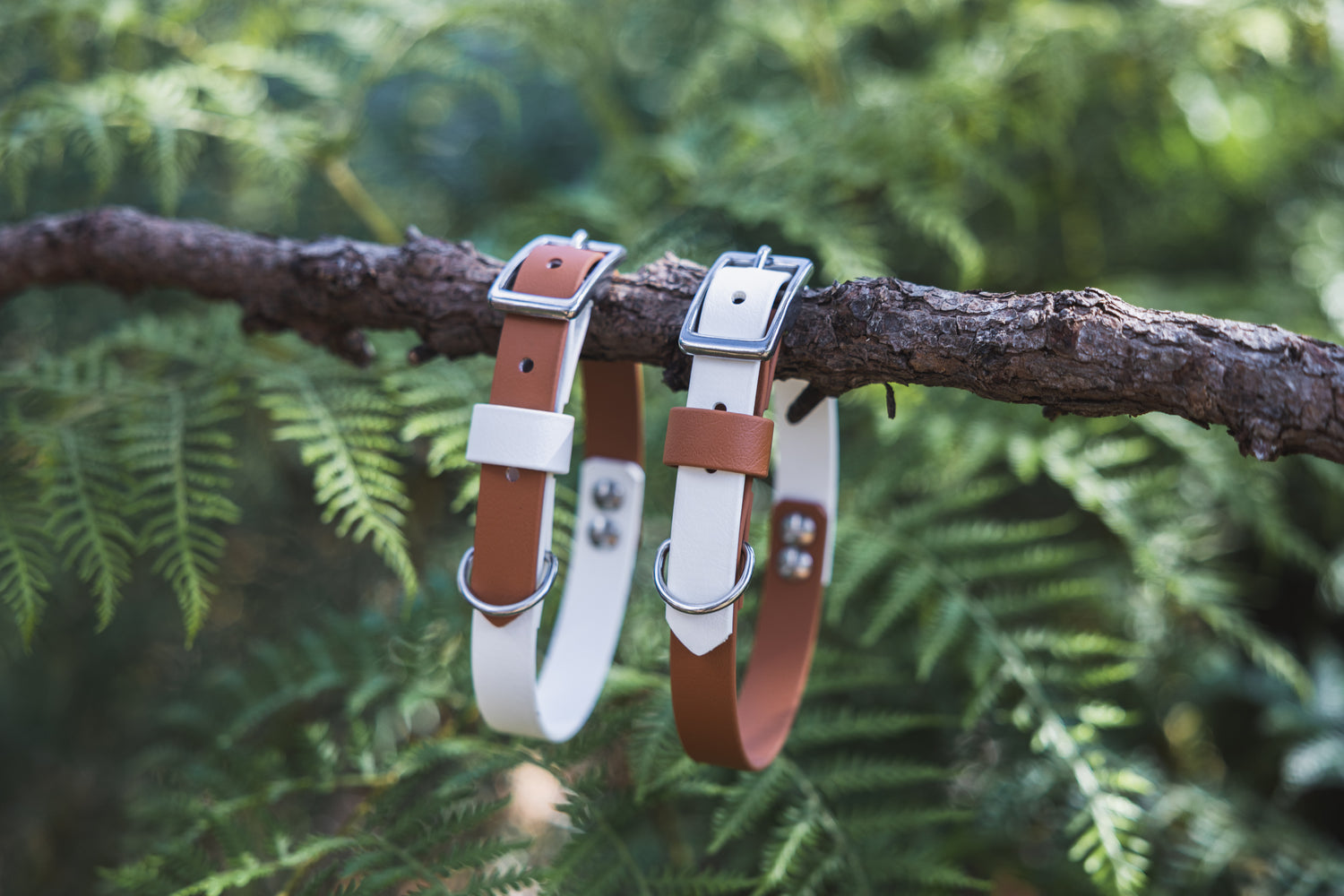 Waterproof Dog Collar Multi Tone – Design your own