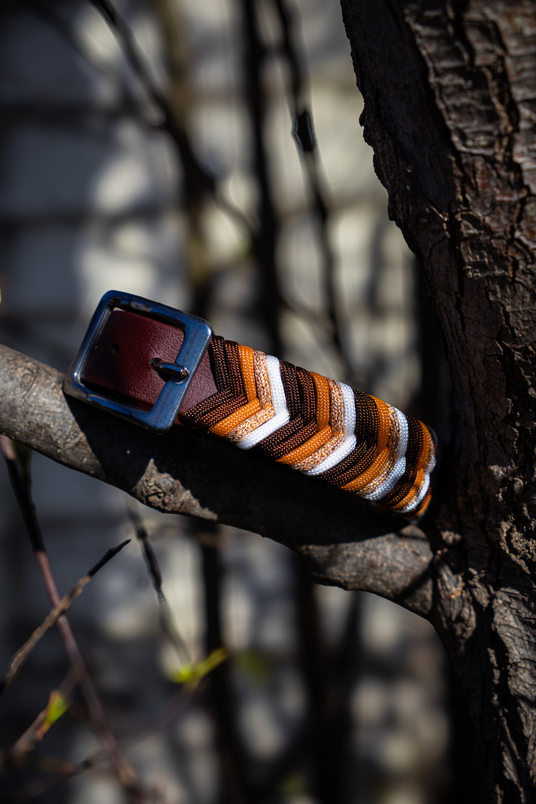 Custom Paracord Collar Wildwoods - Design your own!