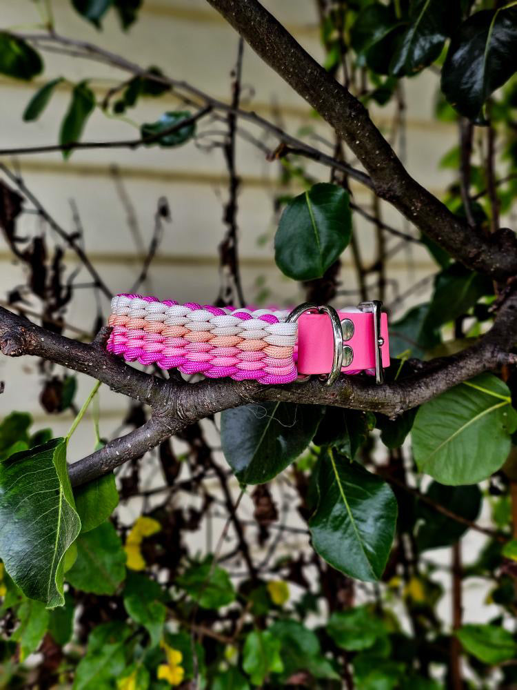 Custom Elements Paracord Collar - Design your own!