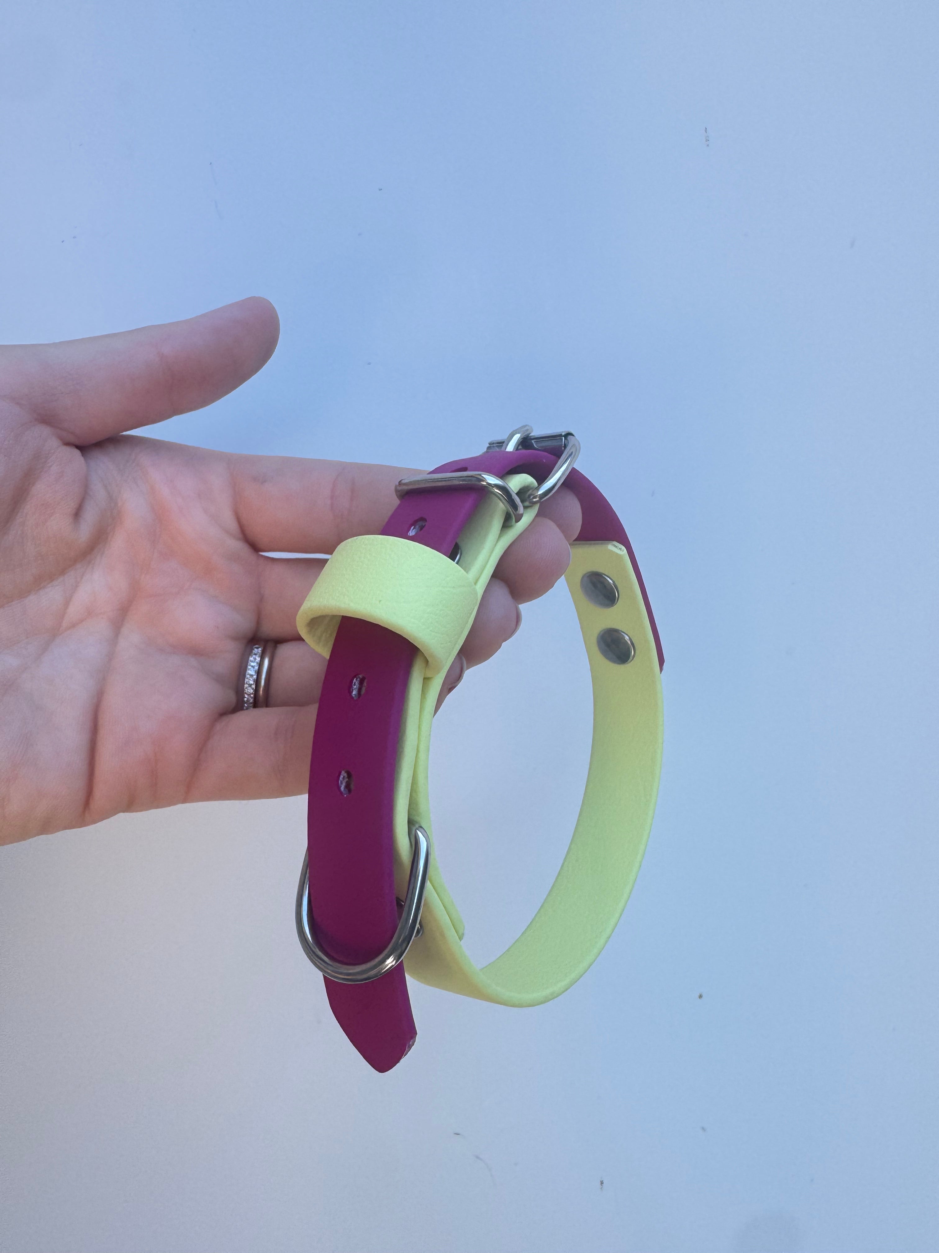 S (29-35m neck) Pastel Yellow/Magenta Collar (roller buckle)