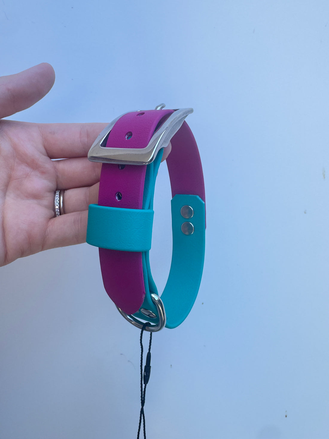 S (30-36cm neck) Magenta/Turquoise collar (2.5cm wide)