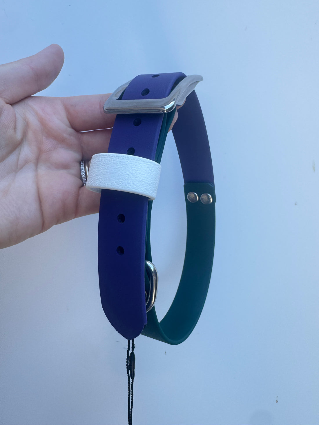 XL (43-52m neck) Emerald/Purple/White collar (2.5cm wide)