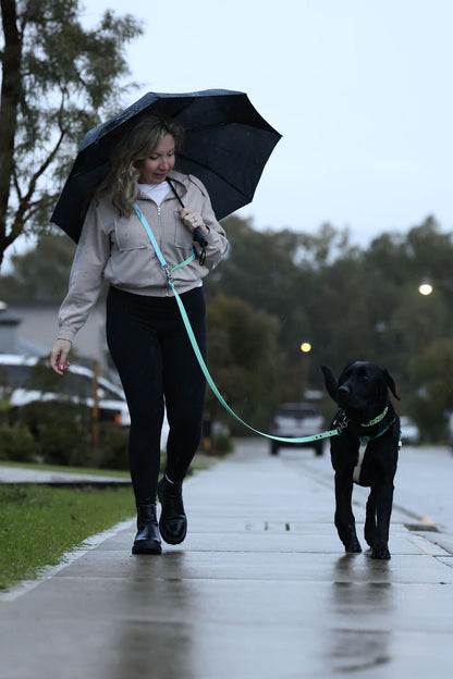 Woman walking a dog on a leash with an umbrella in a rainy setting