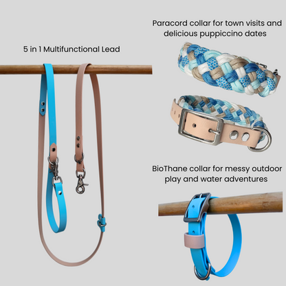 Dog collars and leads displayed on a gray background with text describing their uses.