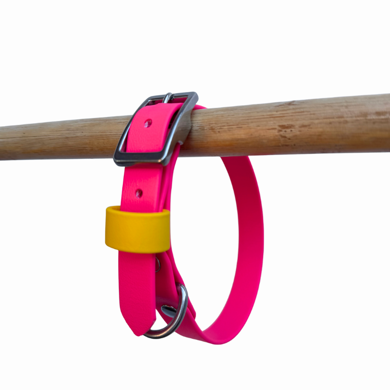 Passion pink and yelllow Biothane collar on a wooden rod against a white background.