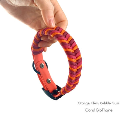 Custom Paracord Collar Wildwoods - Design your own!